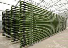 mass production of algae can also occur through photobioreactors