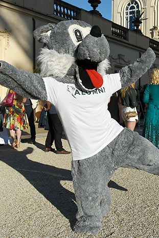 aur wolfie mascot official edu